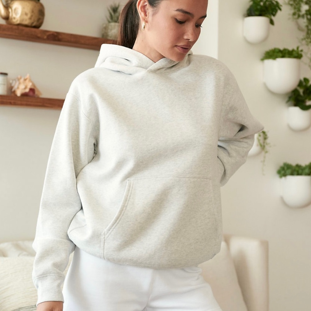Aritzia TNA CozyAF Perfect Hoodie in Heather Mist Grey
